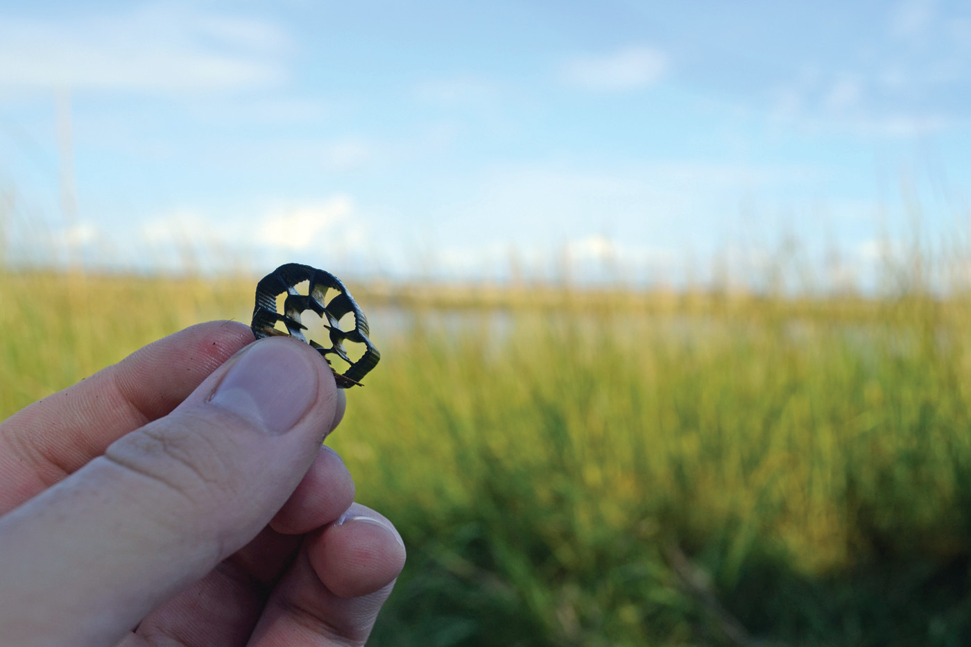 UNFORTUNATELY FAMILIAR: A black pinwheel-shaped piece of plastic was found among trash at Salter Grove on Tuesday. The debris is from an East Providence wastewater treatment facility that overflowed during a bad storm this past March.